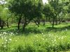45 Sunny Vale photo